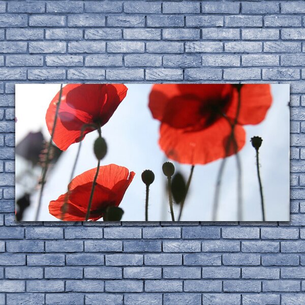 Tablou pe panza canvas Maci Floral Rosu Negru