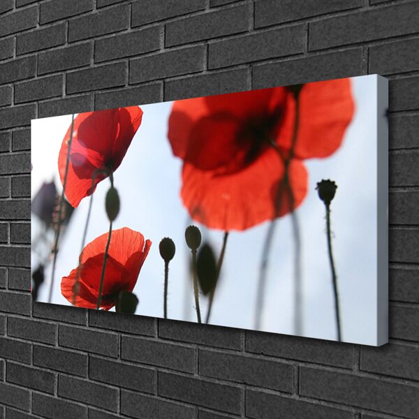 Tablou pe panza canvas Maci Floral Rosu Negru