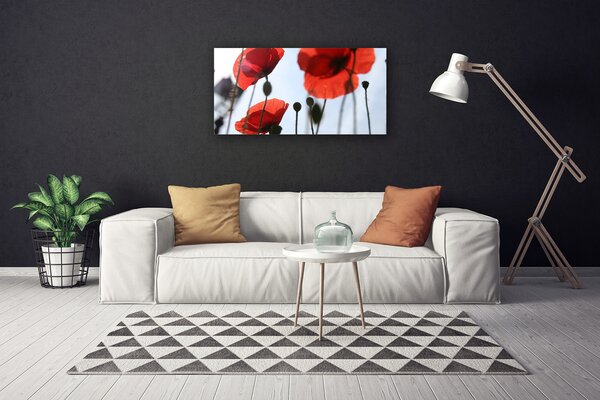 Tablou pe panza canvas Maci Floral Rosu Negru