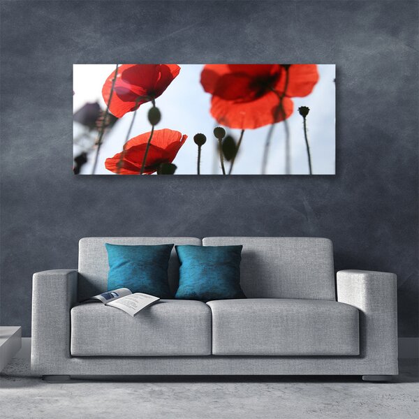 Tablou pe panza canvas Maci Floral Rosu Negru