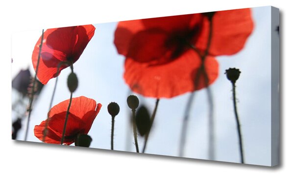 Tablou pe panza canvas Maci Floral Rosu Negru