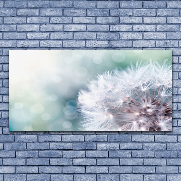Tablou pe panza canvas Păpădie Floral Alb Albastru
