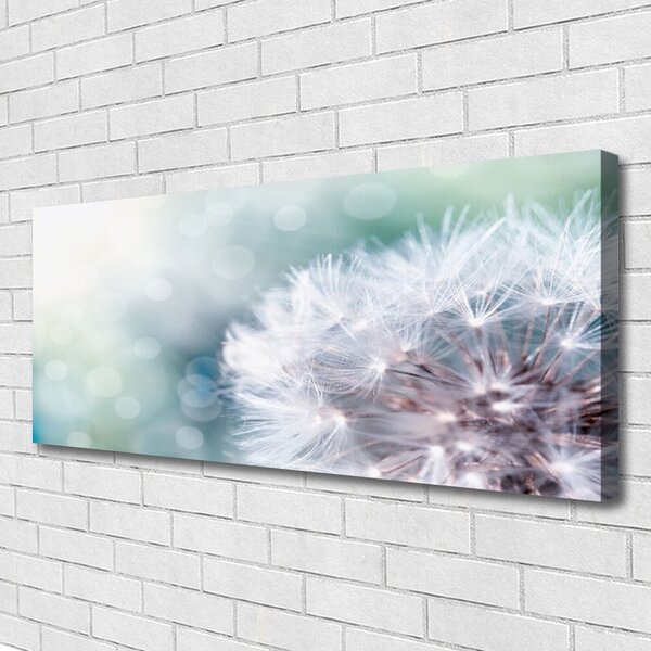 Tablou pe panza canvas Păpădie Floral Alb Albastru