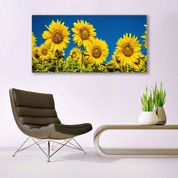 Tablou pe sticla Floarea soarelui Floral Galben Verde