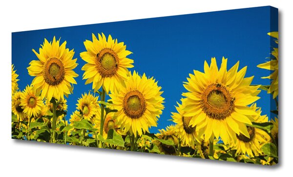 Tablou pe panza canvas Floarea soarelui Floral Galben Verde