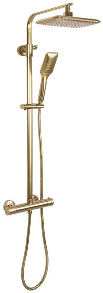 Set dus REA Tom brush gold