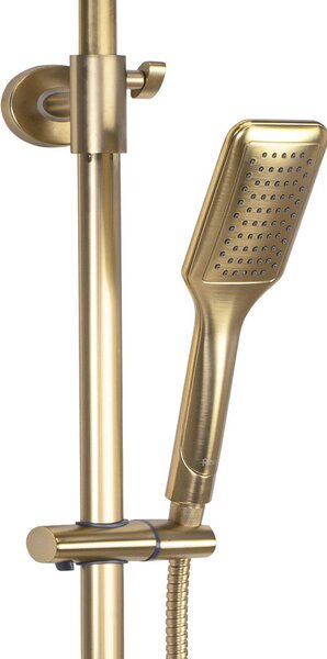 Set dus REA Tom brush gold