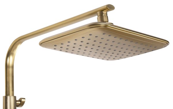 Set dus REA Tom brush gold