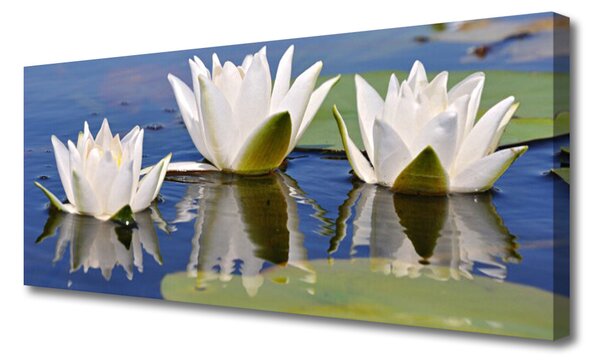 Tablou pe panza canvas Flori Floral Alb Verde