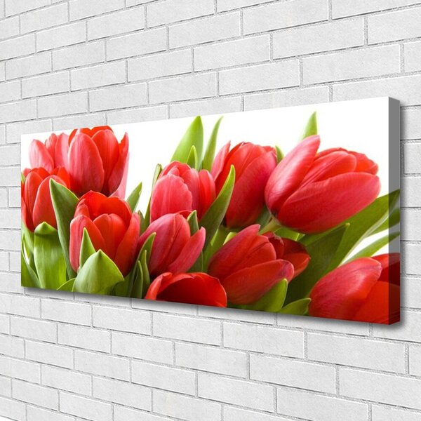 Tablou pe panza canvas Lalele Floral Roșu Verde