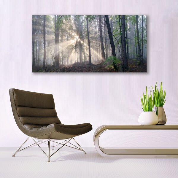 Tablou pe panza canvas Natural Pădurea Verde Maro