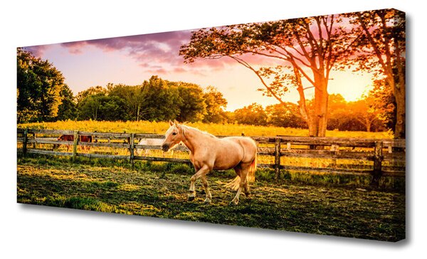 Tablou pe panza canvas Cal Meadow Animale Green Brown