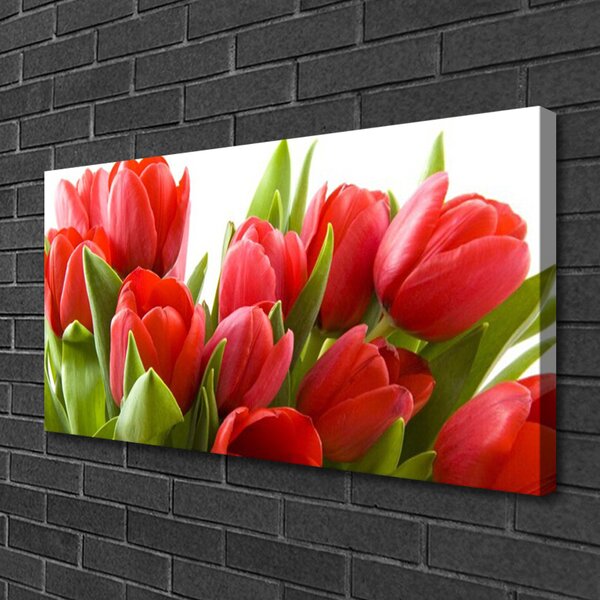 Tablou pe panza canvas Lalele Floral Roșu Verde