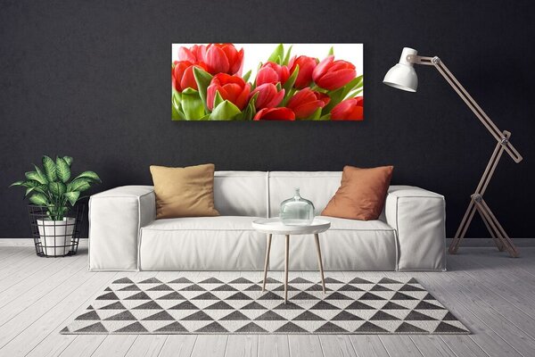 Tablou pe panza canvas Lalele Floral Roșu Verde