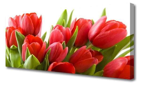 Tablou pe panza canvas Lalele Floral Roșu Verde