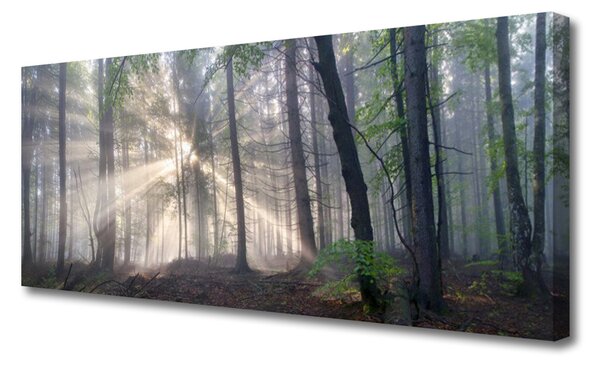 Tablou pe panza canvas Natural Pădurea Verde Maro
