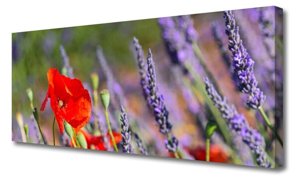 Tablou pe panza canvas Flori Floral Roșu Violet Verde