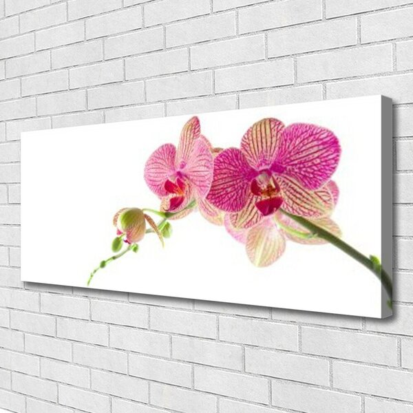 Tablou pe panza canvas Flori Floral Verde Roșu