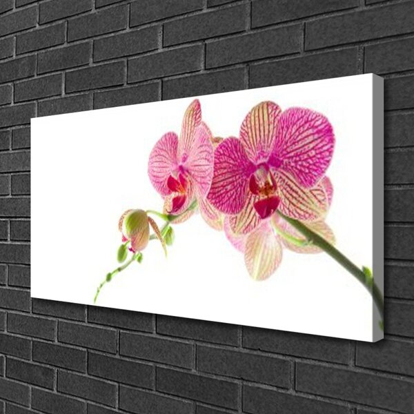 Tablou pe panza canvas Flori Floral Verde Roșu
