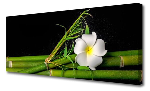 Tablou pe panza canvas Bamboo flori Floral Alb Verde