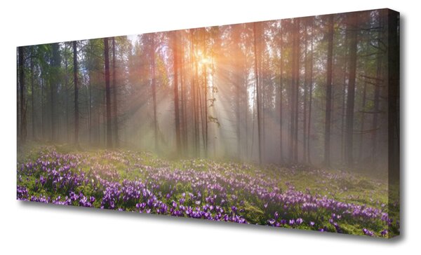 Tablou pe panza canvas Pădure Flori Natura Roz Verde Maro