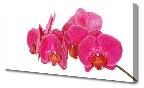 Tablou pe panza canvas Flori Floral Roșu