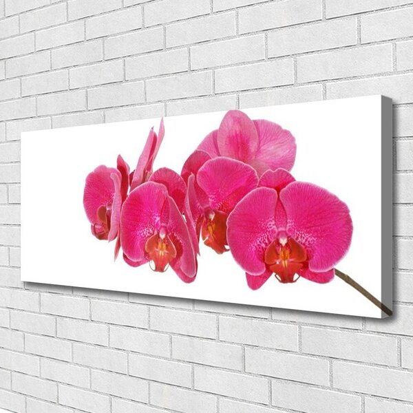 Tablou pe panza canvas Flori Floral Roșu