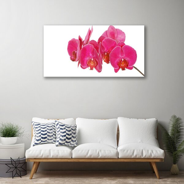 Tablou pe panza canvas Flori Floral Roșu