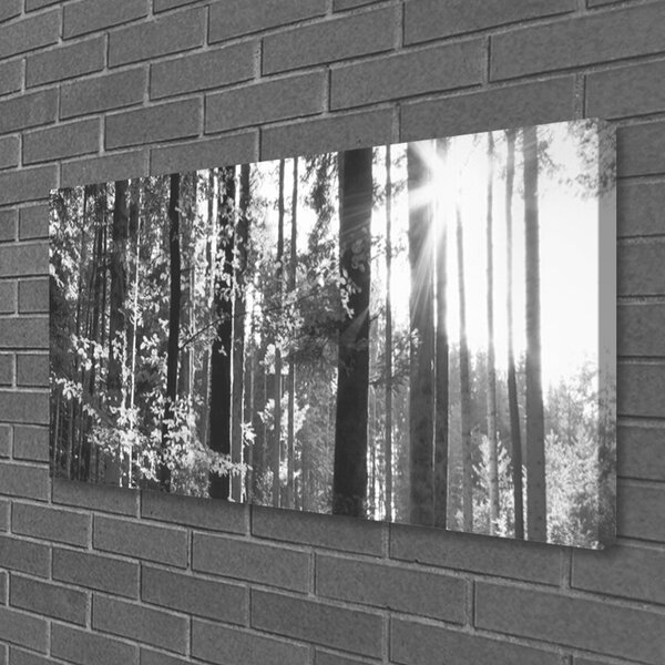 Tablou pe panza canvas Forest Nature Gray
