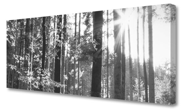 Tablou pe panza canvas Forest Nature Gray