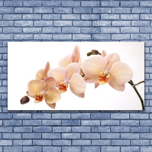 Tablou pe sticla Flori Floral Alb Brun