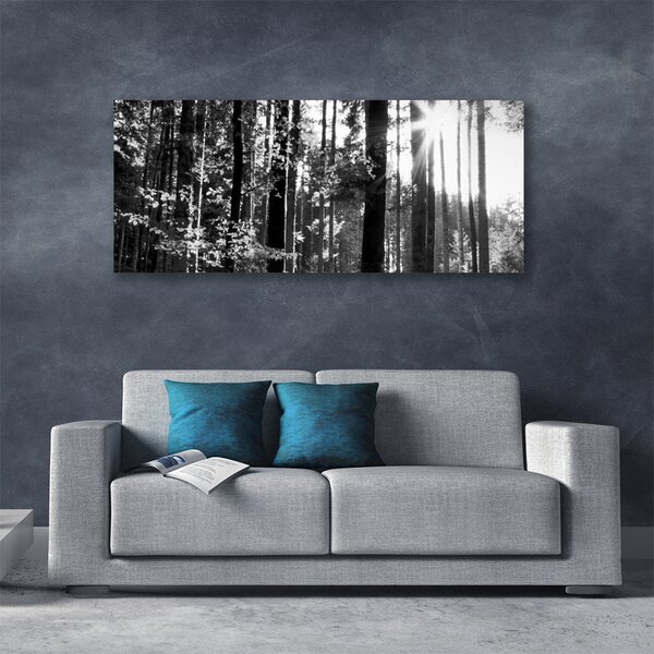 Tablou pe panza canvas Forest Nature Gray