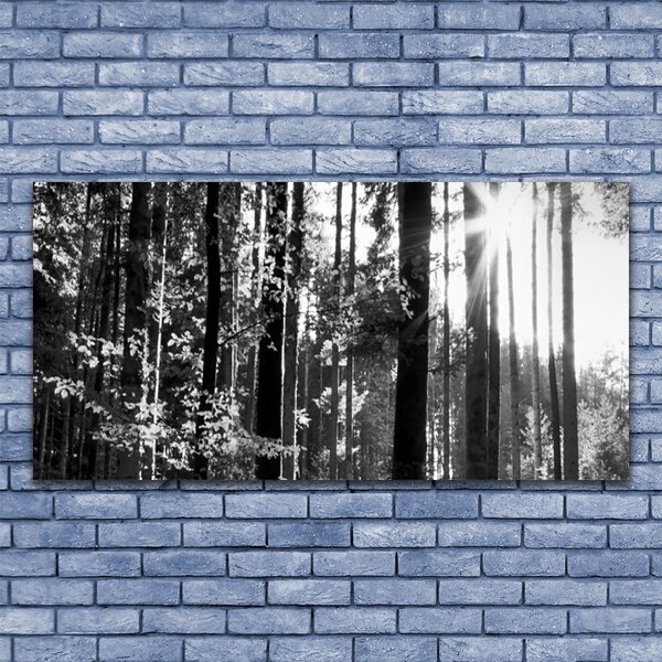 Tablou pe panza canvas Forest Nature Gray
