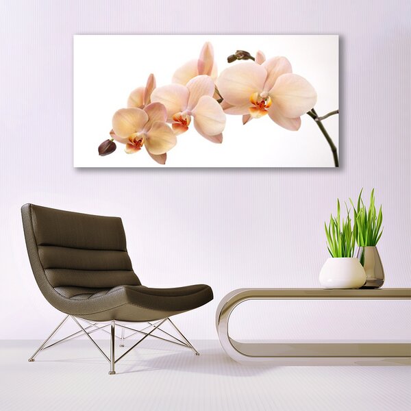 Tablou pe sticla Flori Floral Alb Brun