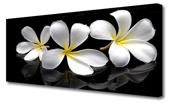 Tablou pe panza canvas Flori Floral Alb Negru