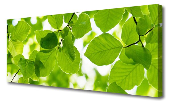Tablou pe panza canvas Frunze verde florale