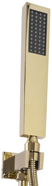 SET DE DUS incastrat FENIX AURIU cu box