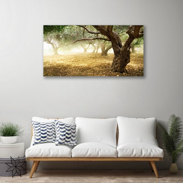 Tablou pe panza canvas Copaci Iarbă Natura Verde Maro
