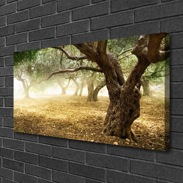 Tablou pe panza canvas Copaci Iarbă Natura Verde Maro