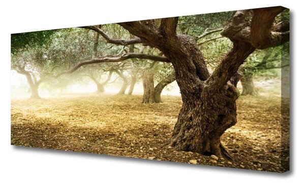 Tablou pe panza canvas Copaci Iarbă Natura Verde Maro