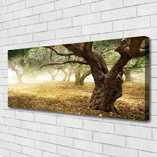 Tablou pe panza canvas Copaci Iarbă Natura Verde Maro