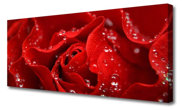 Tablou pe panza canvas Rose Floral Orange