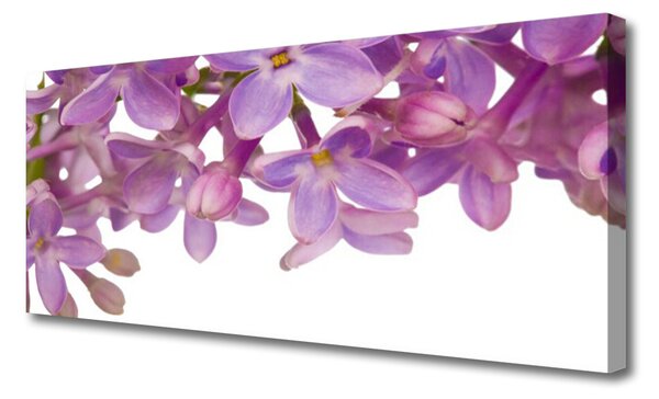 Tablou pe panza canvas Flori roz Floral