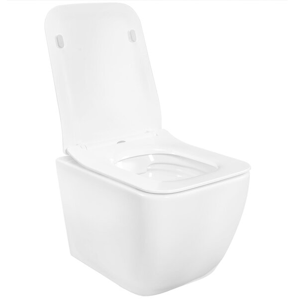 Rea Martin - vas de toaletă suspendat Rimless 51x37 cu scaun cu cădere lentă, alb, REA-C8006