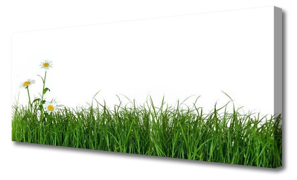 Tablou pe panza canvas Weed Natura verde
