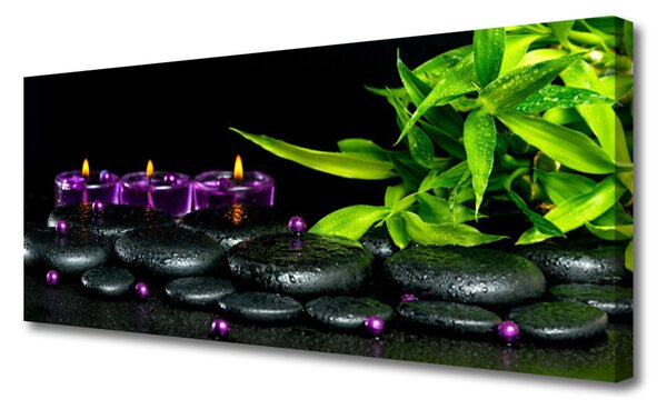 Tablou pe panza canvas Lumanarea Pietre Frunze Arta Negru Verde Violet