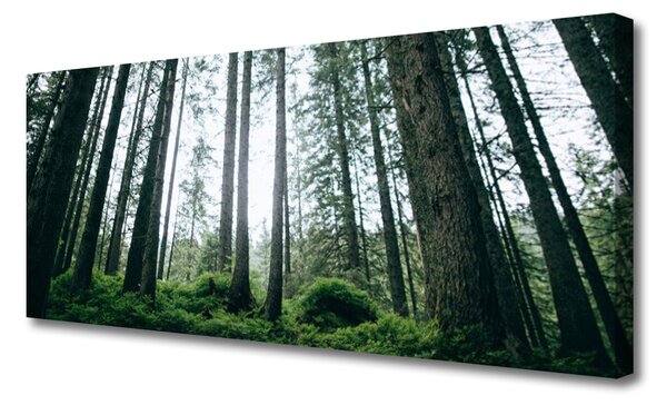 Tablou pe panza canvas Natural Pădurea Verde Maro