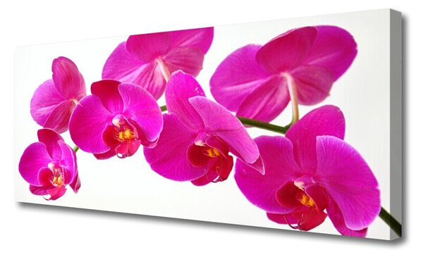 Tablou pe panza canvas Flori Floral Roșu