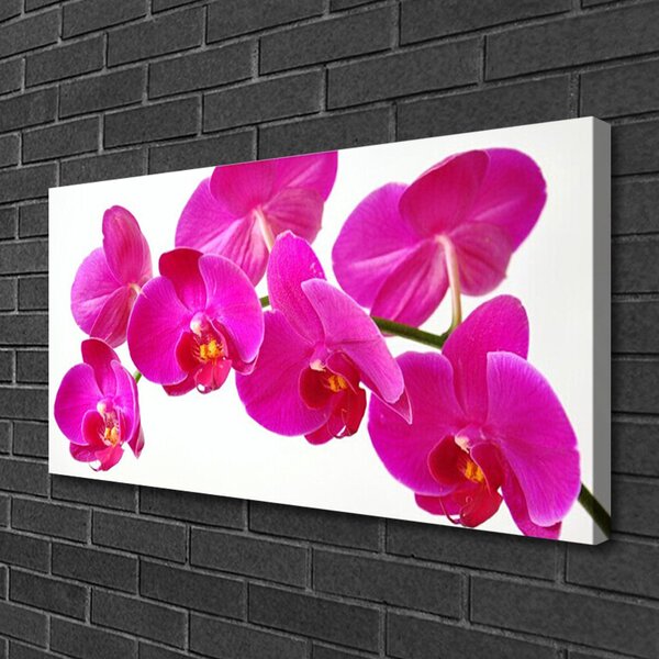 Tablou pe panza canvas Flori Floral Roșu