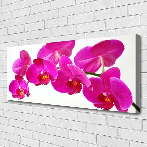 Tablou pe panza canvas Flori Floral Roșu